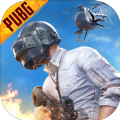 pubg mobile国际服下载安装最新版本2021苹果正式版