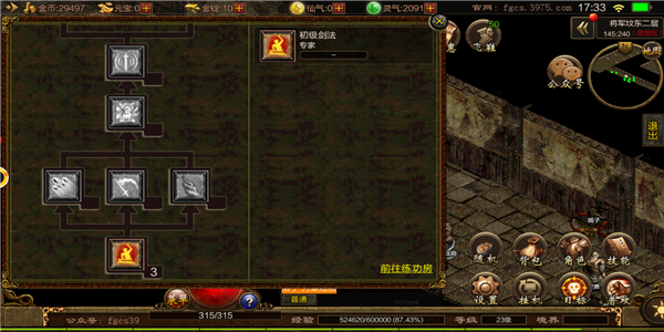 王者传奇冰狐版 王者传奇冰狐版