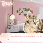 学习之王橙光破解版
