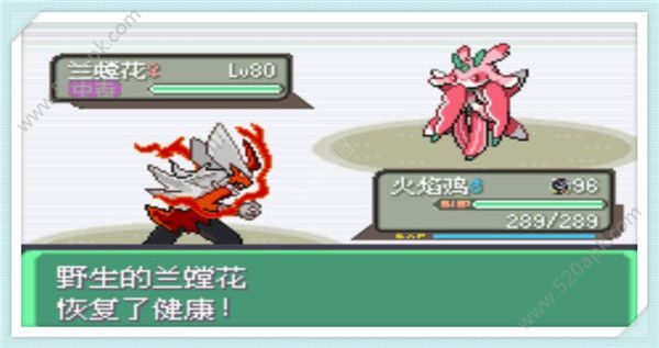 口袋妖怪究极绿宝石2Extra Extens无限金币金手指版图片1