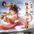 三国野望