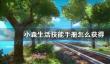 《小森生活》技能手册怎么获得