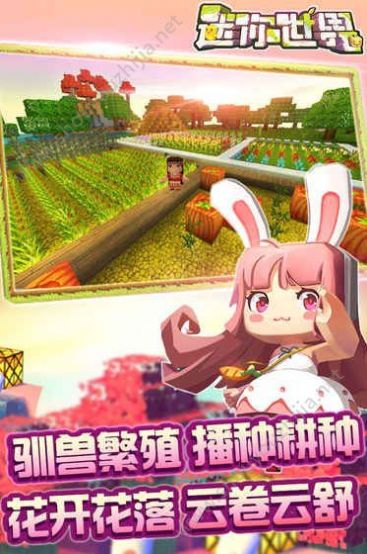迷你世界0.52.6官方最新版图片2