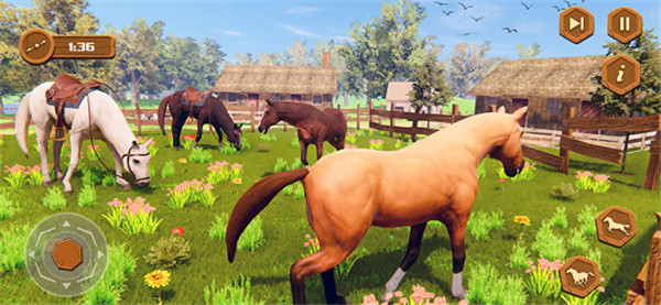 我的荒野马骑术故事 我的荒野马骑术故事