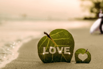 2022最好听微信昵称