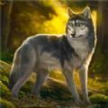 荒野狩猎生存游戏安卓版