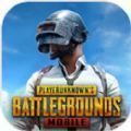 pubg体验服国际服手游下载安装2022最新版