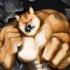 恐怖柴犬游戏苹果手机版