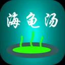 周末海龟汤