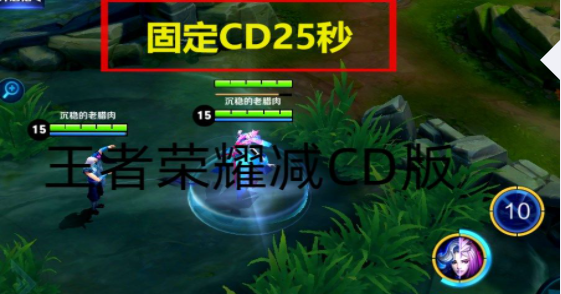 王者荣耀减CD版