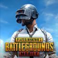 pubg国王v2