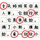 脑力节奏比拼