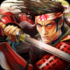 武士2：复仇 汉化版