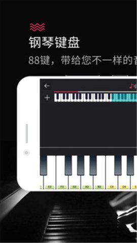 模拟钢琴下载苹果手机版图片1