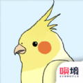 鸟巢游戏下载 