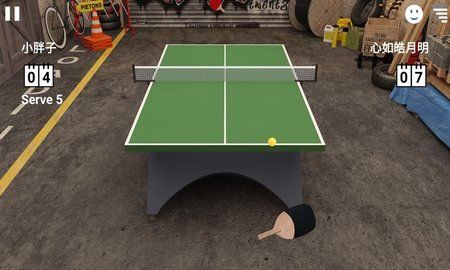 虚拟乒乓球中文版下载图片1
