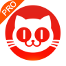 猫眼电影