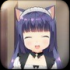 熟睡中的猫咪