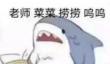 抖音老师菜菜捞捞呜呜什么意思