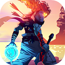 dead cells