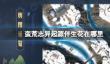 《蛮荒志异起源》伴生花位置介绍