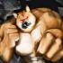 恐怖柴犬安装