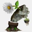 植物大战僵尸现实版免费正版