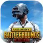 绝地求生pubgm下载