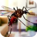 蚊子家庭生活模拟器游戏