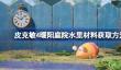 皮克敏4暖阳庭院水里材料怎么拿