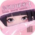 房间的秘密3女团回归夜安装