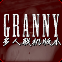恐怖奶奶烦躁的家庭安装