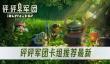 砰砰军团卡组推荐最新