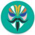 Magisk On Android x86安装包