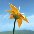 陈星汉花游戏