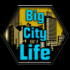 大城市生活模拟器手游下载