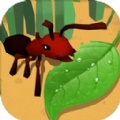 蚂蚁进化3d蜜蜂boss游戏下载