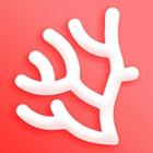 珊瑚文学最新版免费阅读下载