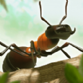 蚂蚁进化手游下载