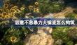 恶意不息暴力大锤流怎么构筑