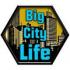 大城市生活模拟器下载安装