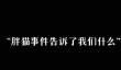 抖音胖猫事件是怎么回事 胖猫事件完整版介绍