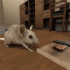 真实老鼠生存模拟器最新版