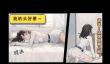我变成了妹子2什么时候出 公测上线时间预告