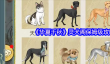 华夏千秋灵犬阁保姆级攻略教程