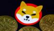 SHIB燃烧机制直播：12月26日全程揭秘