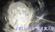 掌门下山清月真人伙伴有什么技能