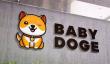 BABYDOGE币种详解：欧意交易所app下载