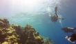 遭遇强大暗流！中国女游客为捞相机命丧87米海底