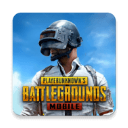 pubg国际服手游下载正版2024下载